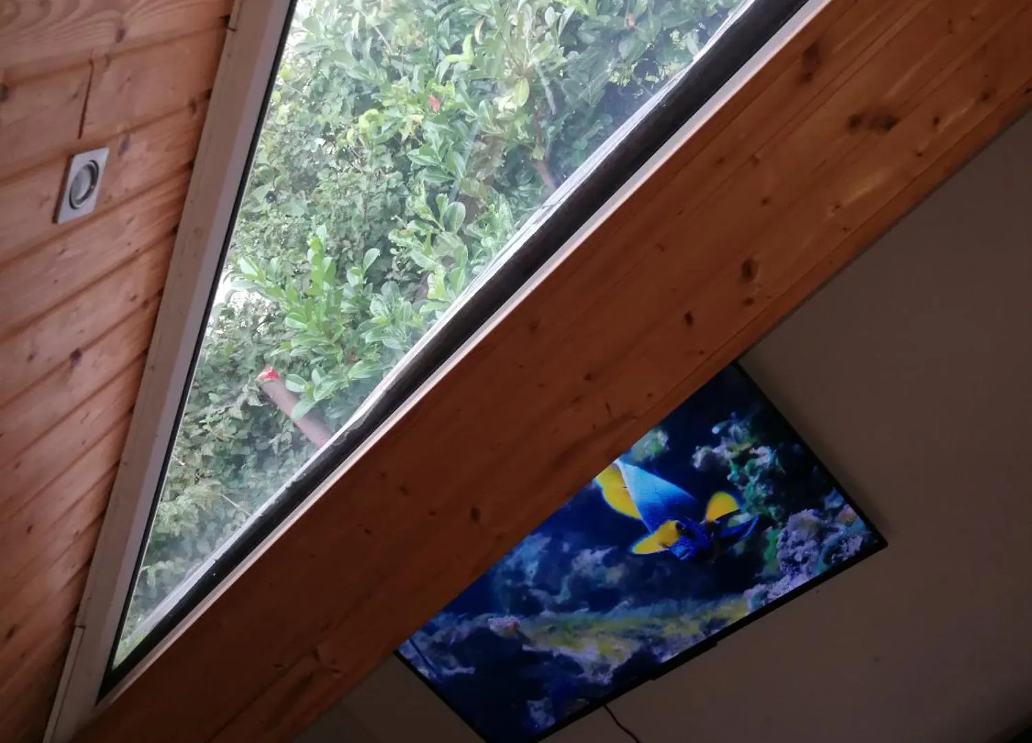Homestay Wohlfuehloase - Zimmer, Appartment - Im Herzen Starnbergs Germany